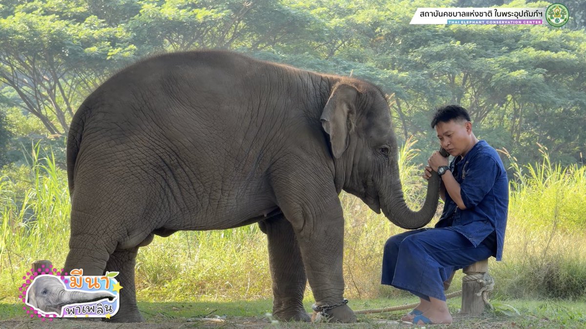 จุ๊บๆ 😘 พ่อเอก
คลิปสตรีมน้องมีนาวันเสาร์ที่ 7/12/2024
youtu.be/oCxMUxKu0u4