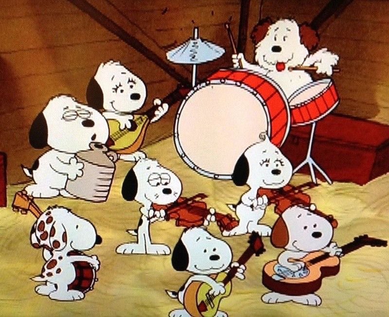 Daily Snoopy (@dailysnoopys) on Twitter photo 