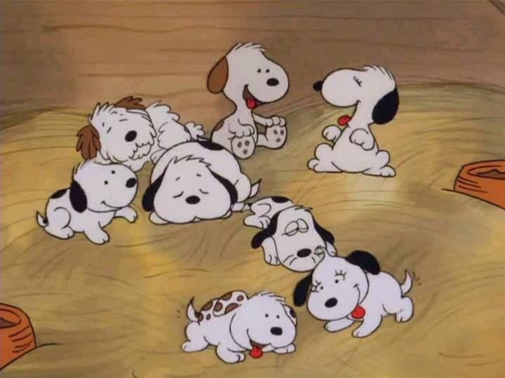 Daily Snoopy tweet media