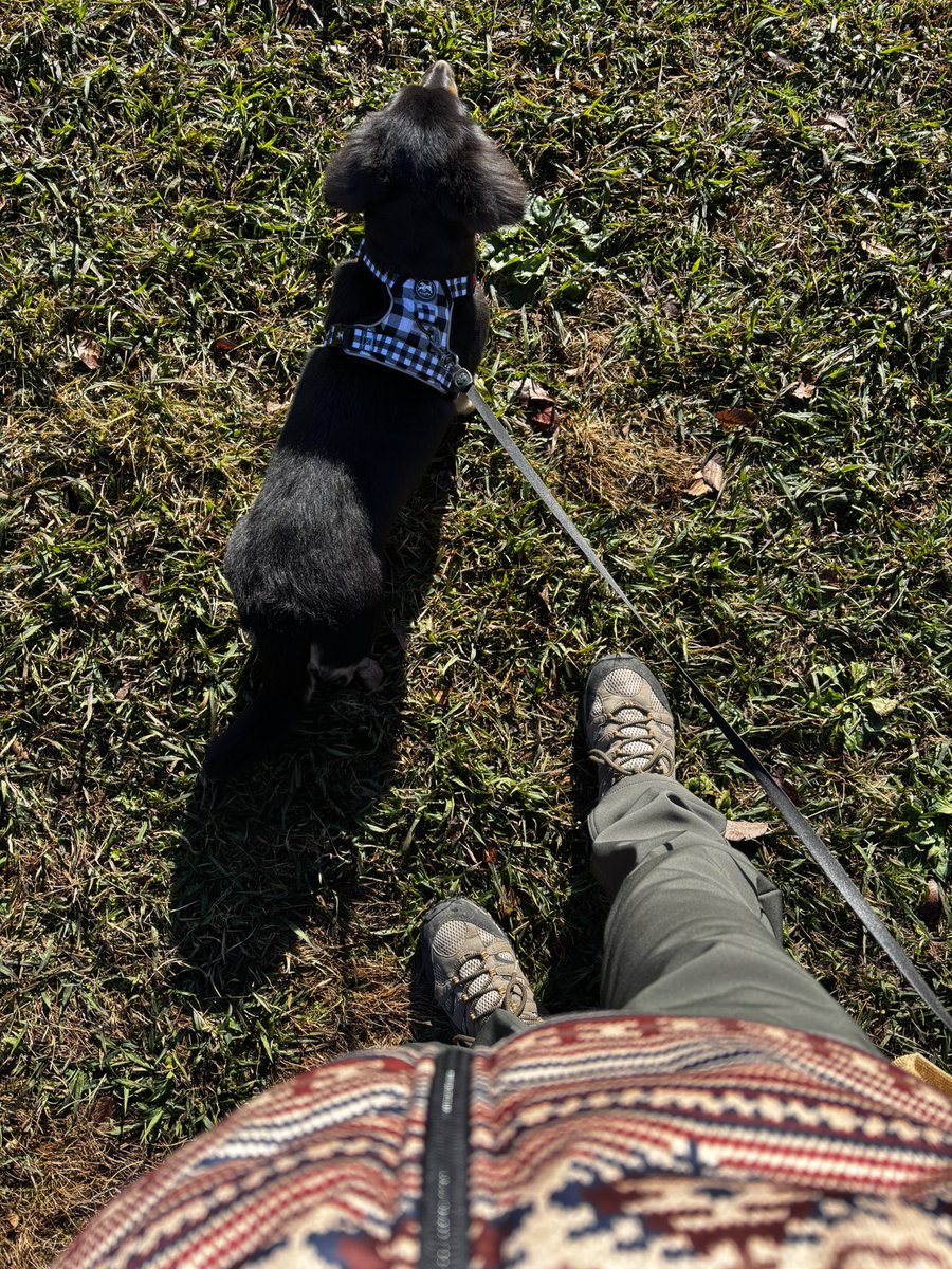 combpapa_com's tweet photo. オレコンブ🐾
池袋から車で30分程の池のある公園をうちのパパはフィンランドっていつも言ってる

ママが肉離れした公園だね

#フィンランド🇫🇮
#池袋からすぐ🔜
#さいたま新都心
#見沼自然公園 https://t.co/bzuvw5xGA3