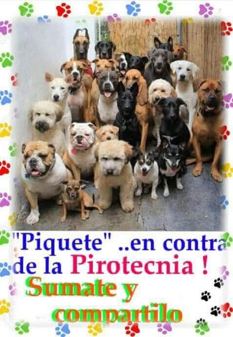 Marlyncrisโ (@mcmarlyncris) on Twitter photo <a href="/BlindadoGrupo1/">Grupo Blindado1</a> #GRUPO๐๐ฆ
8/12 #FelizDomingo <a href="/Clota7/">Clota</a> <a href="/AnaErbetta7614/">Ana Maria EB. MDQ โ๏ธ</a> <a href="/hachazocertero/">hachazocertero #BattleIsOn ๐ฆ๐ท ๐บ๐ฆ</a> <a href="/hamarga78/">La Hamarga</a> <a href="/LalyLovey1ra/">Laly Lovey ๐ธ๐ธ</a> <a href="/AdrianPerasso/">Adrian Perasso</a> <a href="/LUIS_OL43/">Luis</a> <a href="/Juanjos24326092/">Juan jose Delgado</a> <a href="/OscarPa96778460/">El Patriota Republicano</a> <a href="/HugoAlexandroG2/">Hugo Alexandro ๐๐ฆ๐ท๐บ๐ฆ</a> <a href="/mercede53721867/">mercedes santillan</a> <a href="/zulma54137866/">Zulma ๐ฏ๐ช๐ฏ๐ฆ๐ท๐ป๐ฆ๐ท</a> <a href="/Aleli26281405/">Mariposita</a> <a href="/NelitaOk/">nelita๐</a> <a href="/Jubileitor2016/">jubileitor</a> <a href="/88lamaga/">malena gainza</a> <a href="/BethRiva/">Beatriz Riva ๐</a> <a href="/BlindadoGrupo1/">Grupo Blindado1</a> #GRUPO๐๐ฆ
8/12 #FelizDomingo <a href="/Clota7/">Clota</a> <a href="/AnaErbetta7614/">Ana Maria EB. MDQ โ๏ธ</a> <a href="/hachazocertero/">hachazocertero #BattleIsOn ๐ฆ๐ท ๐บ๐ฆ</a> <a href="/hamarga78/">La Hamarga</a> <a href="/LalyLovey1ra/">Laly Lovey ๐ธ๐ธ</a> <a href="/AdrianPerasso/">Adrian Perasso</a> <a href="/LUIS_OL43/">Luis</a> <a href="/Juanjos24326092/">Juan jose Delgado</a> <a href="/OscarPa96778460/">El Patriota Republicano</a> <a href="/HugoAlexandroG2/">Hugo Alexandro ๐๐ฆ๐ท๐บ๐ฆ</a> <a href="/mercede53721867/">mercedes santillan</a> <a href="/zulma54137866/">Zulma ๐ฏ๐ช๐ฏ๐ฆ๐ท๐ป๐ฆ๐ท</a> <a href="/Aleli26281405/">Mariposita</a> <a href="/NelitaOk/">nelita๐</a> <a href="/Jubileitor2016/">jubileitor</a> <a href="/88lamaga/">malena gainza</a> <a href="/BethRiva/">Beatriz Riva ๐</a>