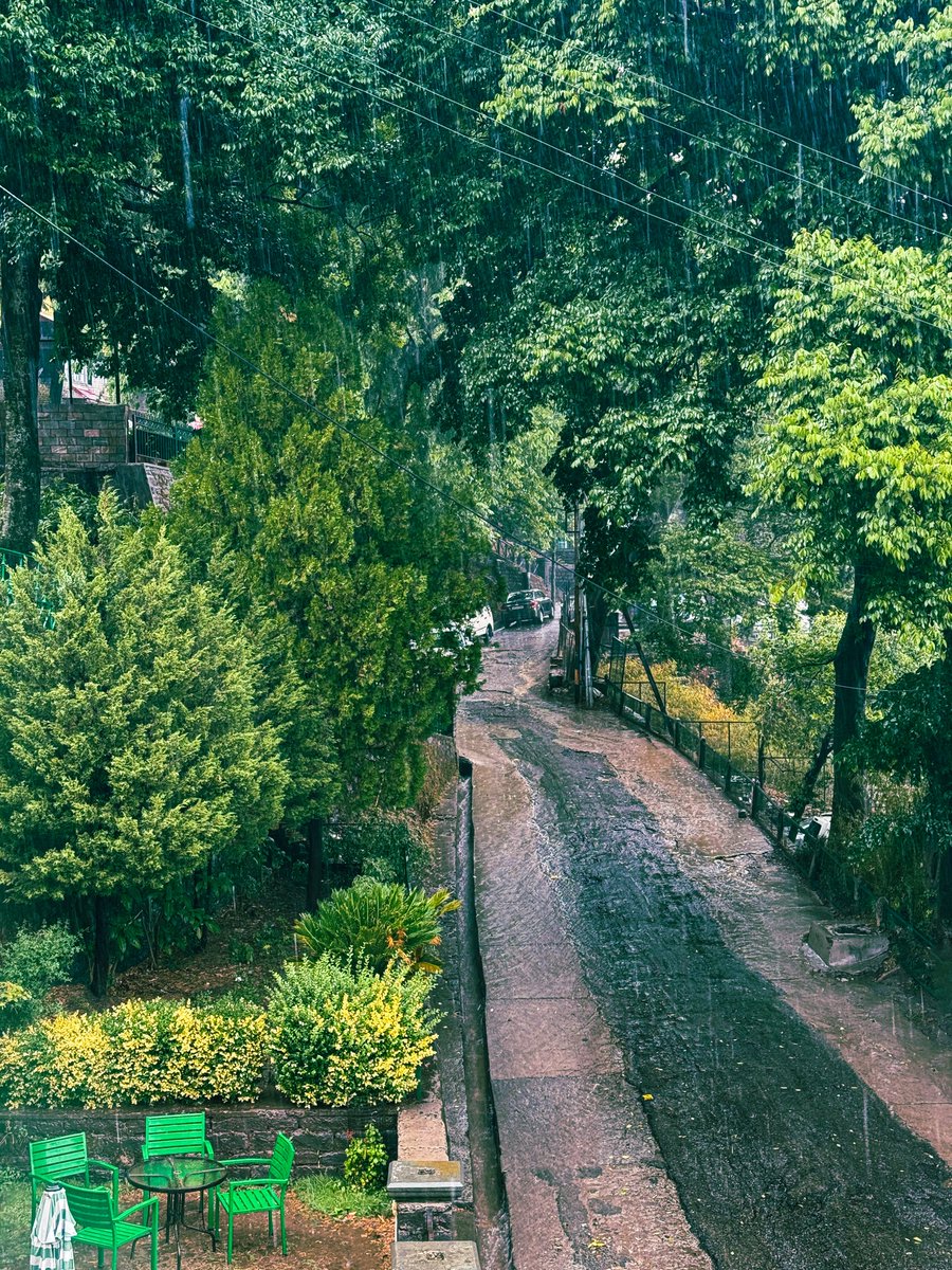 dr_edit1's tweet photo. Lost in the rain, found in the beauty. 🌿 Capture moments like this and make them even more stunning with my presets and editing ebook! 📸 #rainyphotography #naturephotography #photoediting #presets #ebook #lightroom #hills #vintage https://t.co/7XJV4XPpZs
