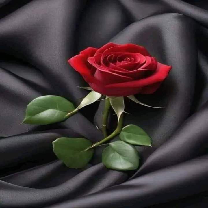 رضوانة محمد tweet media