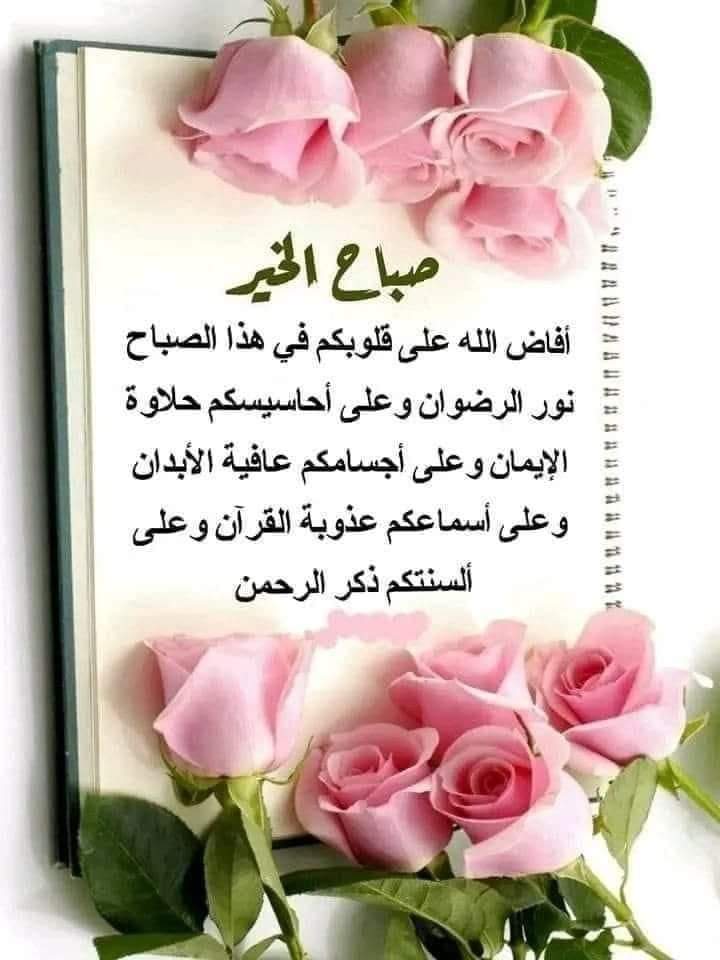 SayedMo42713256's tweet photo. @Monaa_Rn https://t.co/lWzUTaqsfP