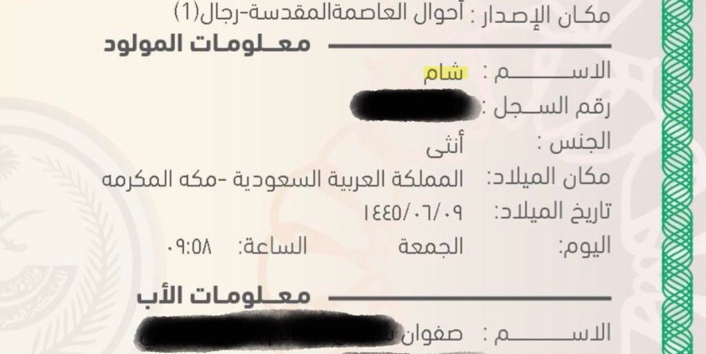 S45N_'s tweet photo. في مثل هذه الأيام قبل عام واحد بالتمام، وُلدَت ابنتي فأسميتها شـام، تفاؤلًا لهذا التحرير العظيم .. 
وبفضل الله لم تكمل ابنتي عامًا إلا وكان هذا الفتح!

والحمد لله الذي أشهدني هذا اليوم المبارك .. 💚
حَفظ الله شامًا وأهل الشام.