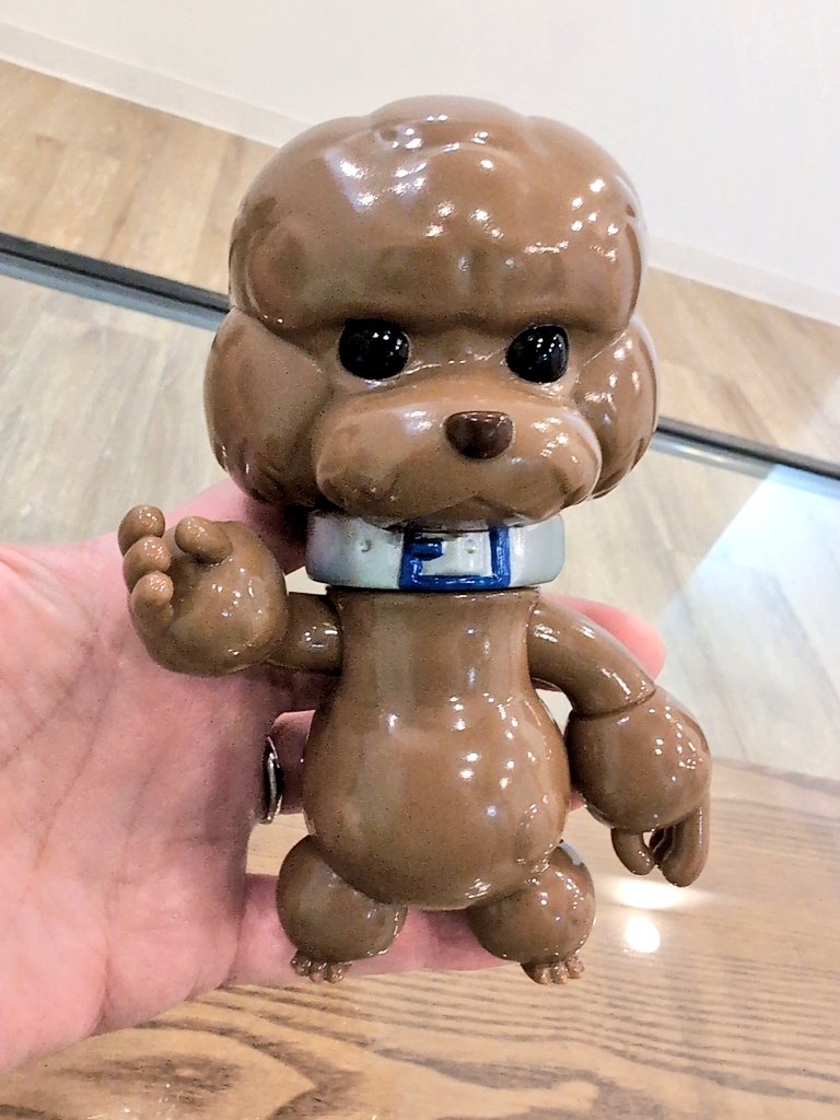 gimokoala's tweet photo. Poodくん連れてお出かけ〜❤
ズトカ持っている(*¨*)♪
#Pood https://t.co/i5DkBubyuR