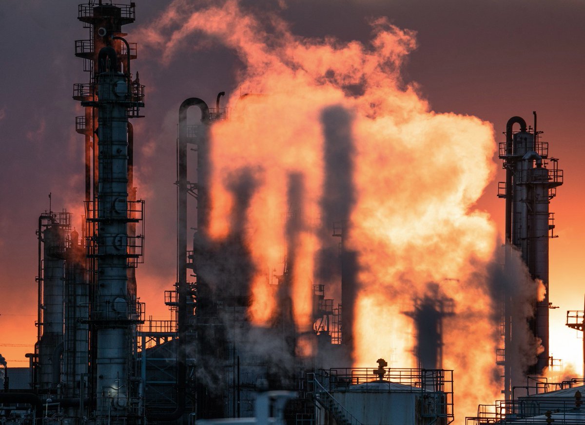 fabrik_view tweet media