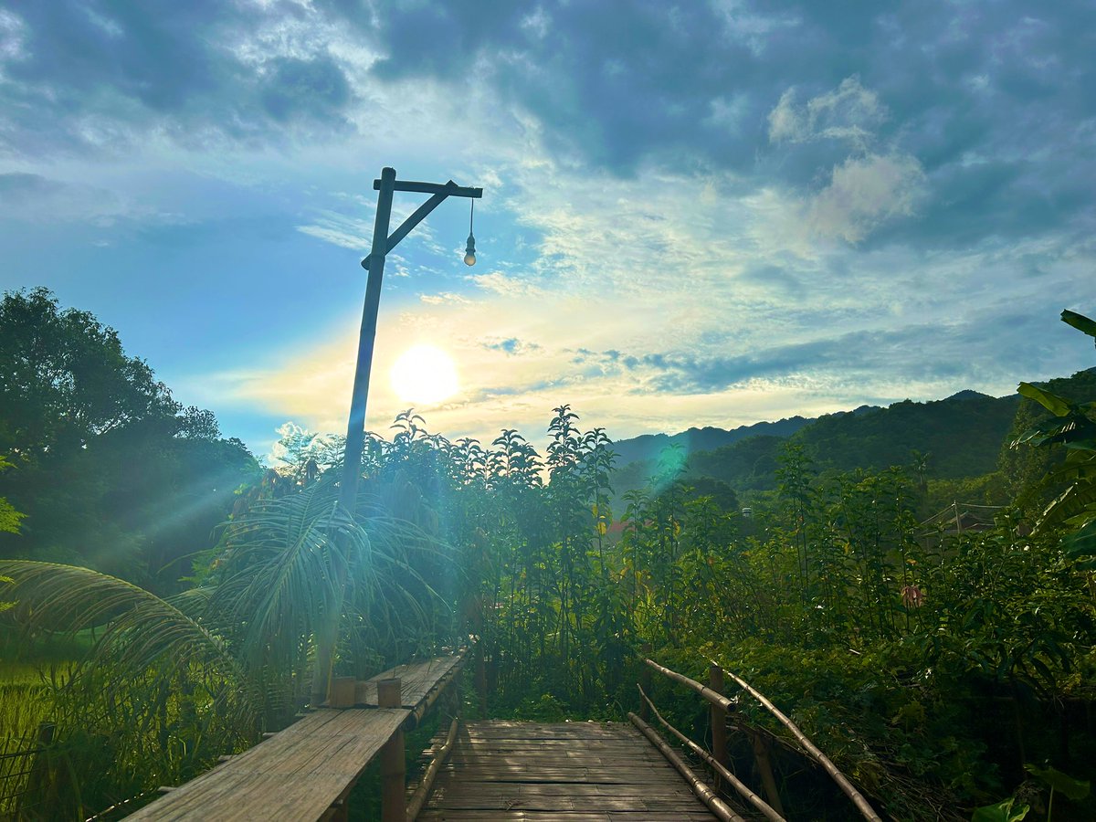 ベトナムで1番コスパいいビールはvigerだと思う！
イデ旅チャンネル登録宜しくお願いします！

youtu.be/ktWqMsU2Q1s?si…