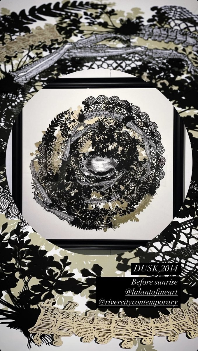 COLLAGECANTO tweet media