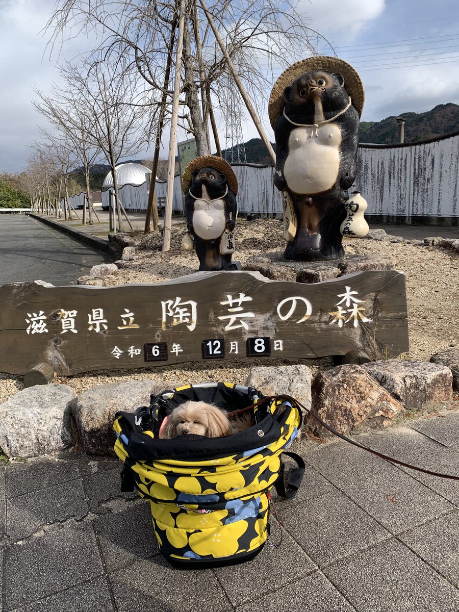 mie7000's tweet photo. 滋賀県立陶芸の森

「山とおむすび銀月舎」
テラス🐶ワンコオッケー
•銀月舎のお魚定食
🍙鮭おむすび
🍙昆布おむすび
を選びました。

ちょっと風があってテラスは寒かったけど、今日は帽子かぶってセーター着てたからそれほど寒さを感じなかった☺️ https://t.co/T1cQtud6N3