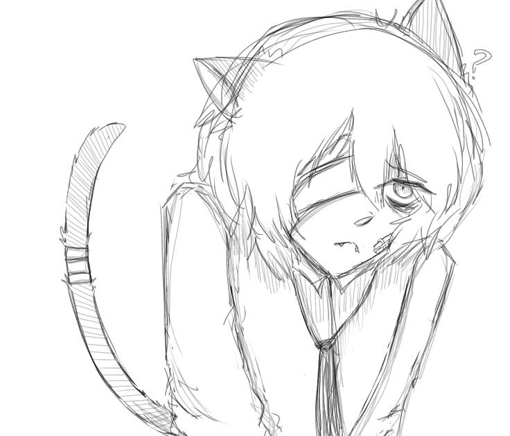 fuckin kitty 🐈 #bsdtwt