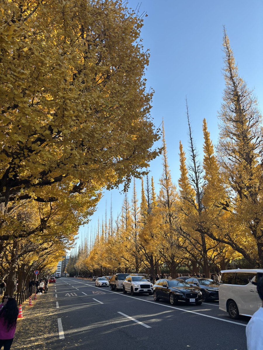 sunflower_jbs's tweet photo. 東京の秋の終わり🍂 https://t.co/RZPsIdkySp