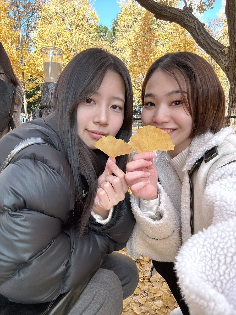 sunflower_jbs's tweet photo. 東京の秋の終わり🍂 https://t.co/RZPsIdkySp