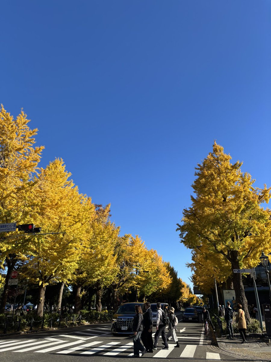 sunflower_jbs's tweet photo. 東京の秋の終わり🍂 https://t.co/RZPsIdkySp