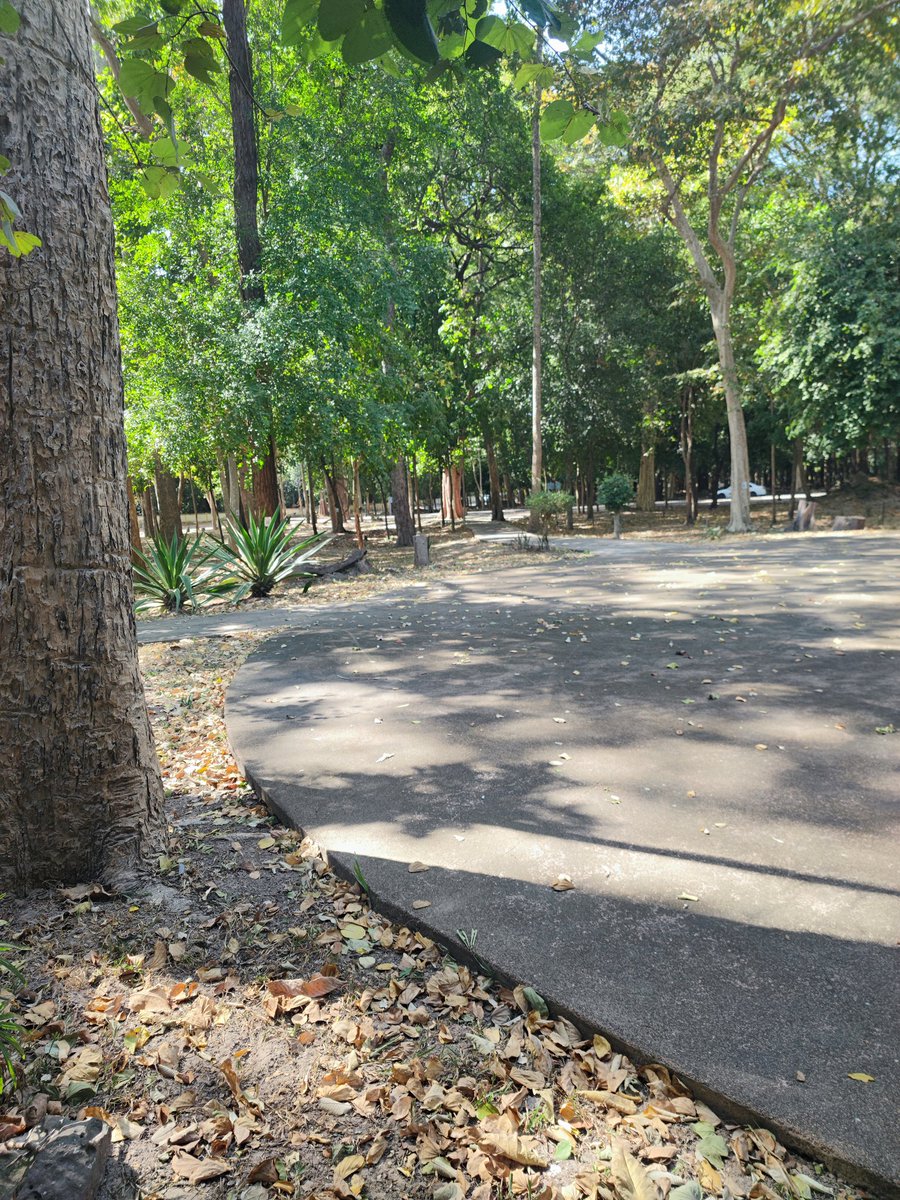 kasnova552's tweet photo. วันแฮงค์ๆ โพธิ์ชัย ร่องคำ #โพธิ์ชัย #ร่องคํา https://t.co/8wwikiNvjg