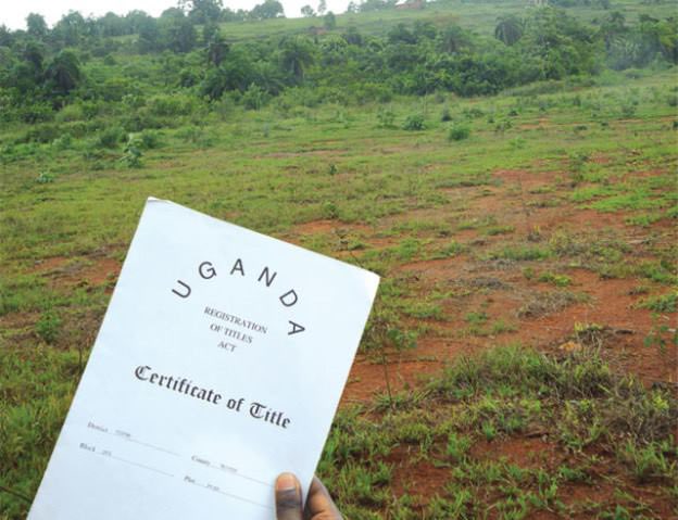 Ronkawamara's tweet photo. 🚨 The recent court ruling allowing foreigners to own land in Uganda is correctly raising eyebrows! This shift from leasehold to outright ownership could have far-reaching implications for local communities and sovereignty. 

The Constitution is clear: land belongs to citizens, and non-citizens can only acquire leases on land. This is a settled part of our land tenure system and is standard across many countries! 

Is this decision in the best interest of Ugandans, or does it pave the way for potential exploitation? If this holds, watch multinational companies come and take up massive chunks of Uganda's land, making land ownership more expensive and out of reach for the youth who are reaching that age of starting a family. 

Supreme Court should intervene and ensure our land remains a resource for future generations.