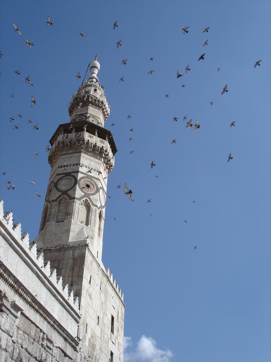 I took this photo in Damascus in May 2007. May we soon be reunited.

رغم بُعدي عنها لمدة 15 عامًا، لم أنسَ نسيمها في الربيع ولا تساقط الثلج الخفيف على جبل قاسيون، وكأن دمشق تحتضن السماء