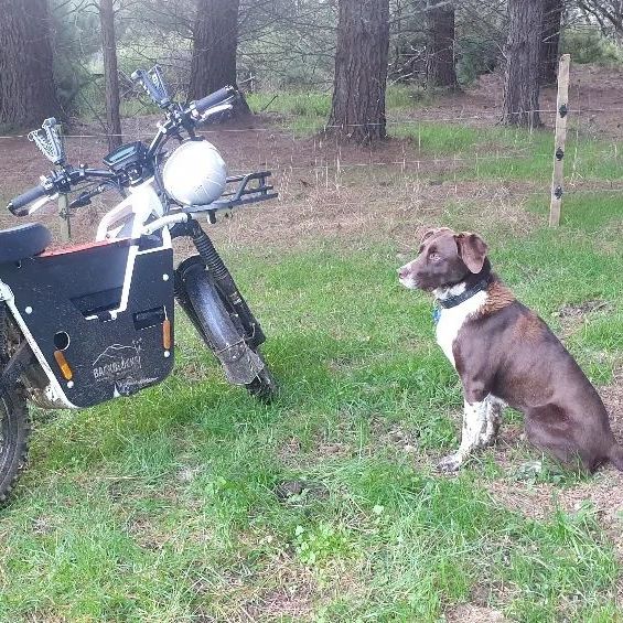 ubcobikes's tweet photo. From #searchandrescue to #trailmaintenance, the #UBCO2X2 has proven to be a #versatiletool. Its rugged durability, quiet operation, and efficient electric power make it a sustainable utility vehicle to manage land.
Share how you use your UBCO in the comments below! https://t.co/opSan3mcmt