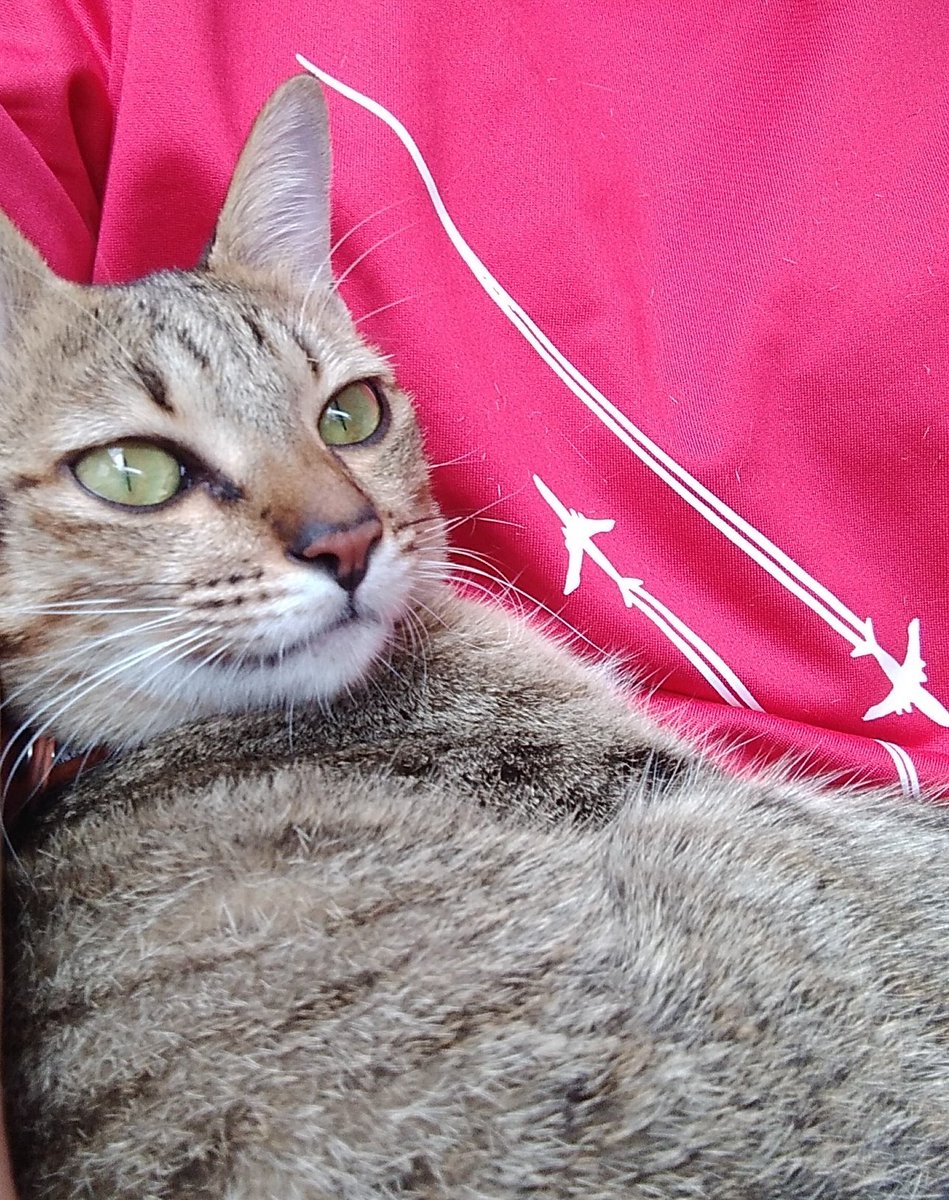 Piss43068540's tweet photo. น้อลอวงงงงง https://t.co/uPUDTSffsN