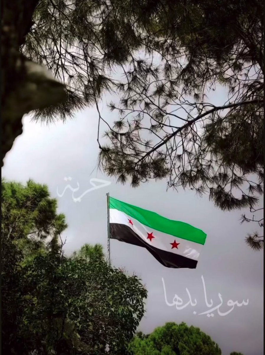 KaserAlasaad's tweet photo. Ich gratuliere allen freien Syrerinnen und Syrern – Muslimen, Christen, Juden, Drusen, Alawiten, Jesiden, Arabern, Kurden und allen anderen – zum Ende der Assad-Diktatur. Möge Allah uns Liebe, Frieden und Freiheit für alle Syrer*innen schenken. مبارك التحرير من الظلم حبيبتي سوريا https://t.co/JjP3SfVHOh
