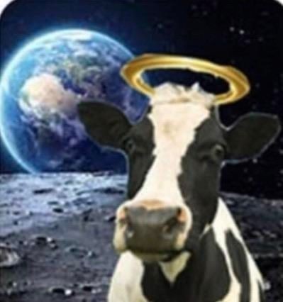 _calpurina's tweet photo. making a chameron edit and its TOXIC https://t.co/XCs2Iwt960
