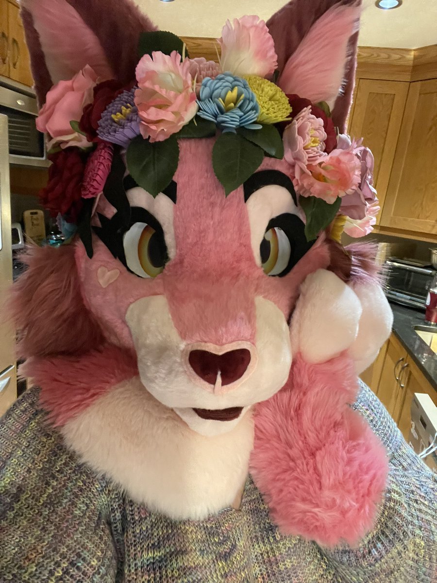 โจ๐ฐ๐๐๐๐๐ ๐บ๐ต ๐ถ๐๐๐๐๐โจ tweet media