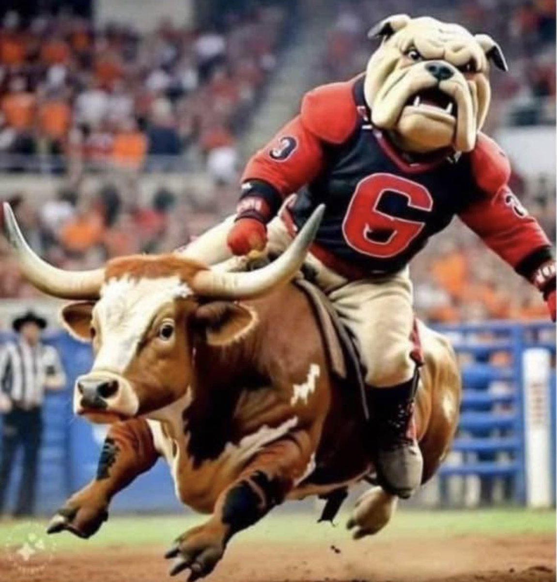 ThadStokes's tweet photo. These new kids on the block are “Bevo” and two (0-2) against their only true legacy SEC opponent @DawgNationDaily #GoDawgs #GoldenShoe #WelcomeToTheSEC https://t.co/J5KPjZUn4u