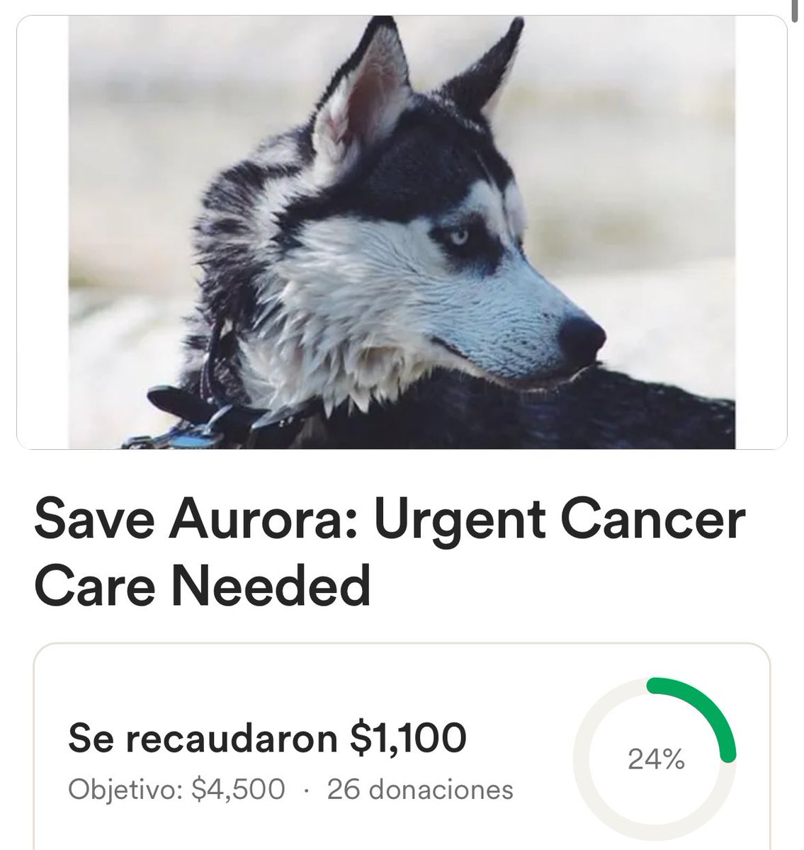 edinaaa10's tweet photo. Please help save my friend’s precious dog. We all know pets are family. Even just sharing or reposting this helps

https://t.co/ivTPNMhGtJ https://t.co/UmbZecyxOA