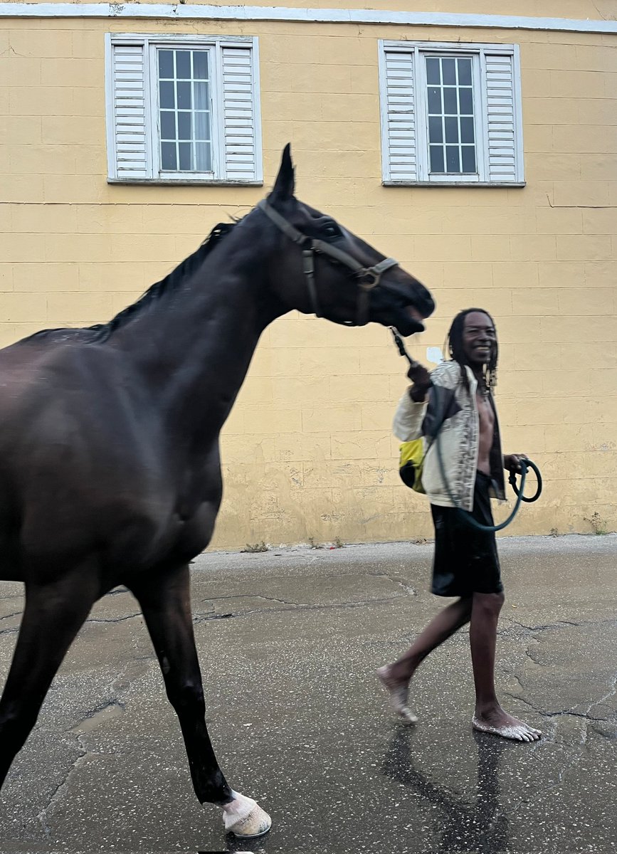 Good_Night_Pics's tweet photo. St Michael, Barbados
01.12.2024
#Barbados #horse #racehorse #HorseRacing #pebblesbeach #streetphoto #streetphotographer https://t.co/clMCx4Dpek