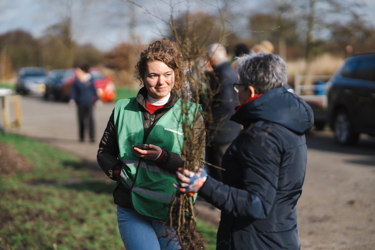Volgend weekend kan je op meer dan 20 plekken gratis bomen ophalen. We geven er 100.000 gratis weg! #klimaat #biodiversiteit #bomen #gratis meerbomen.nu/uitdeeldagen/