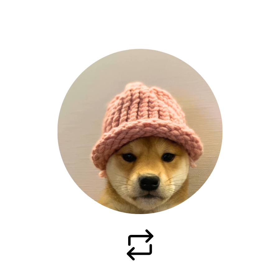 Cointelegraph's tweet photo. Which dog-themed #memecoin will be the best performer for the bull run? 🔥

$WIF or $BONK? https://t.co/QIK2bXrfl2