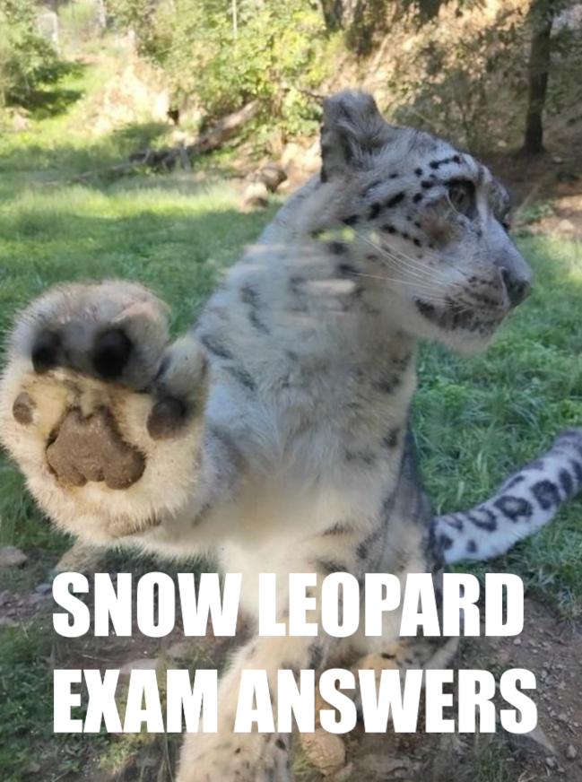 CatReviewer's tweet photo. ITS TIME TO REVEAL THE ANSWERS TO THE SNOW LEOPARD EXAM https://t.co/ihpvivUdcV