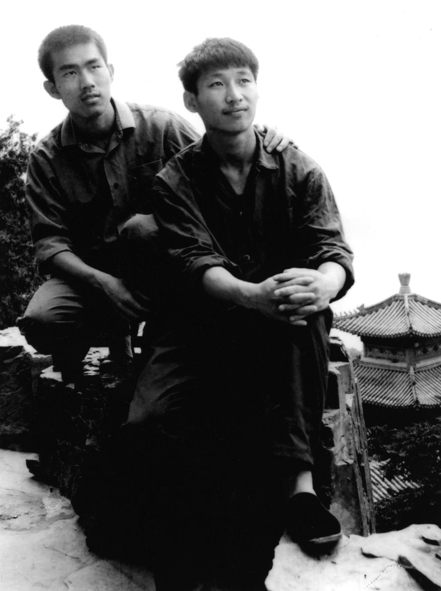 Media image