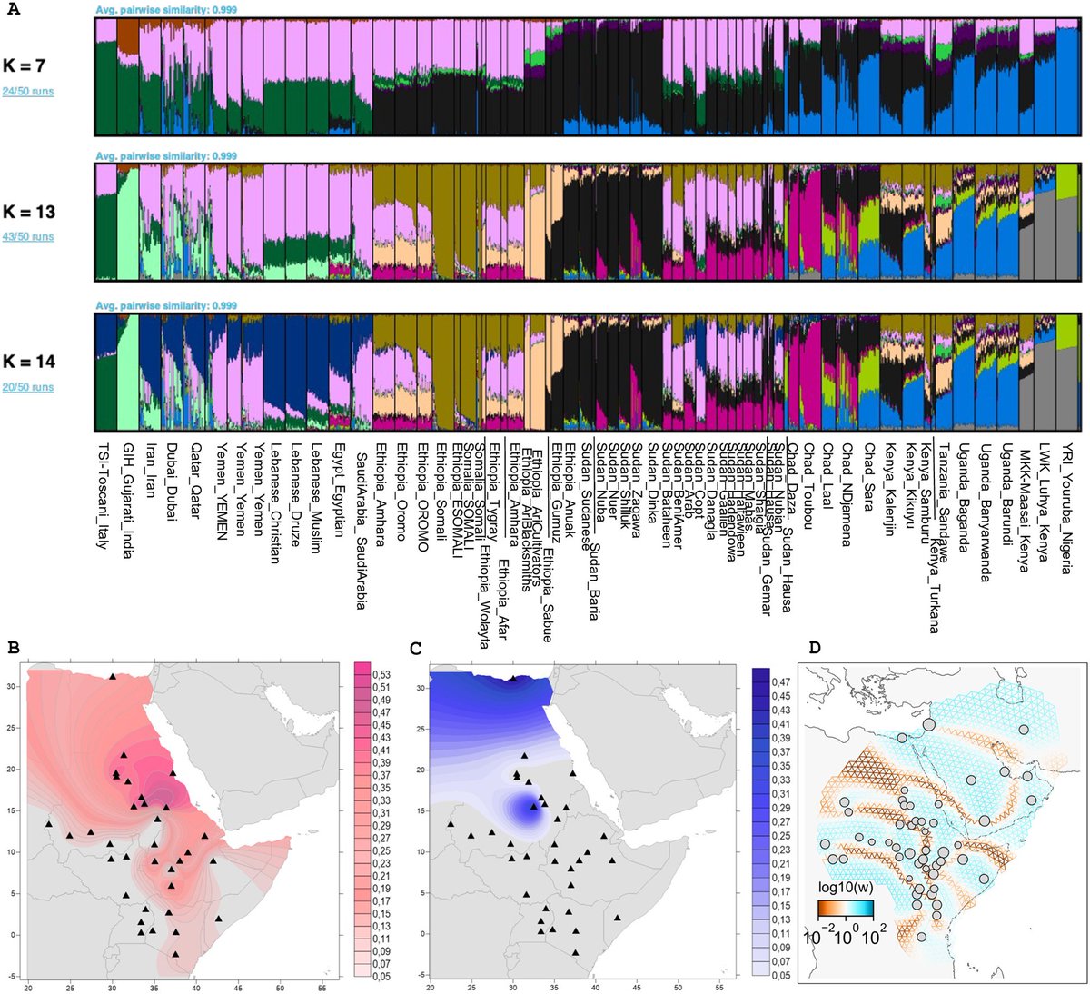 نحن سكان شمال شرق افريقيا الأصليين وجيناتنا موجودة عند كل من يسكن هذه المنطقة من جنوب مصر وسواحل البحر الأحمر حتى بحيرة تشاد وبحيرة فكتوريا 
ومن سواحل الصومال حتى غابات تنزانيا 
انتي بنتنا يةعبلة لا تنكرينا نستعد نفحصك عن طريق طرف محايد ونشوف إذا ما كان عندك مكون Nilo Saharan 😅