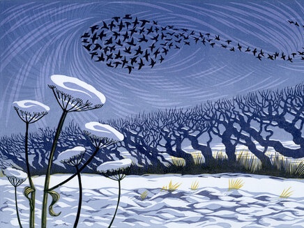 womensart1's tweet image. &apos;Snow starlings&apos; by contemporary UK printmaker Niki Bowers #WomensArt