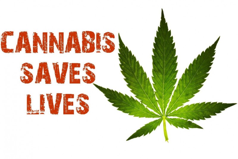 HempEdification's tweet photo. Cannabis saves lives! So why are the current raft of legislators in 🇦🇺 unable to see it? 
Religion, warped ideology, ‘saviour complex’, playing alongside need for law enfarcement to hang on to their budget, when alcohol’s the WORST drug on the planet! Hypocrisy rules! #LegaliseIt https://t.co/9y4MZf0Tkr