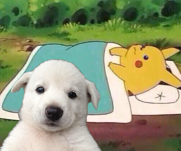 Baby Jing tweet media