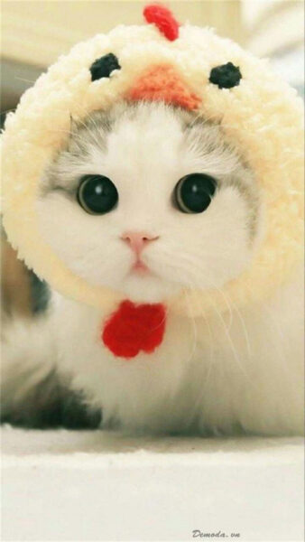 Megan Estenbaum tweet media