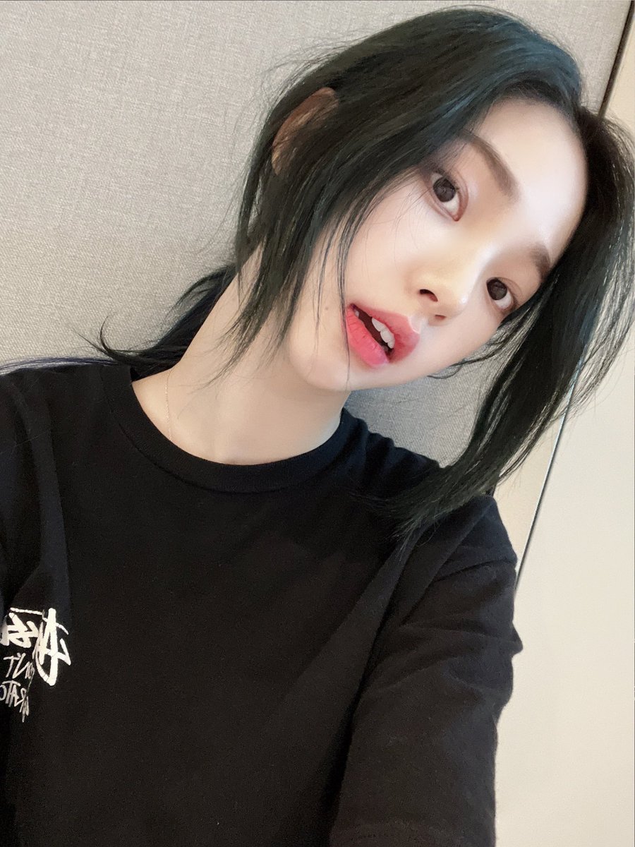 꿀 tweet media