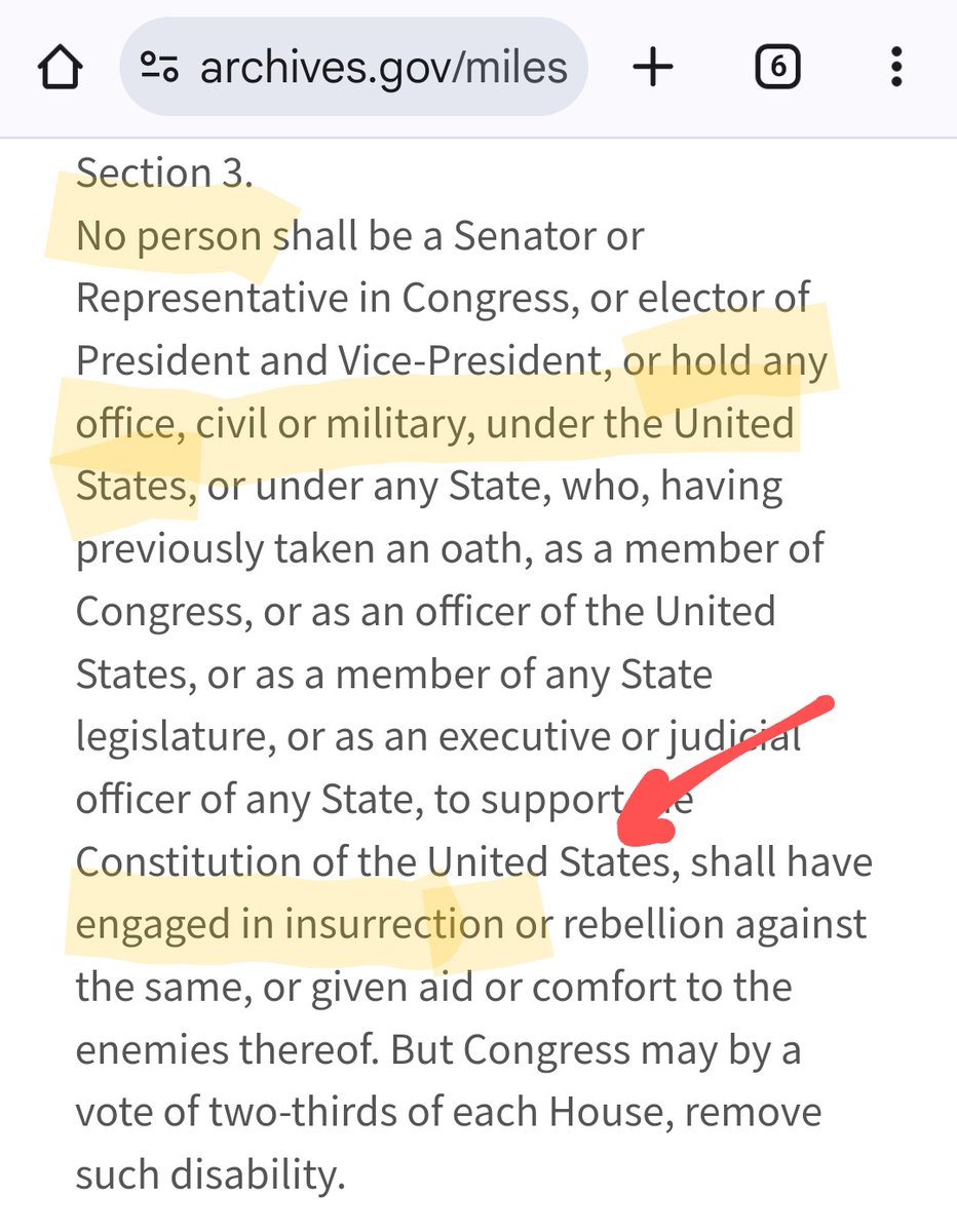 Today's reminder that Trump is CONSTITUTIONALLY DISQUALIFIED from holding ANY office in the United States. It's not a debate, it's just a fact. 

#UpholdTheOath