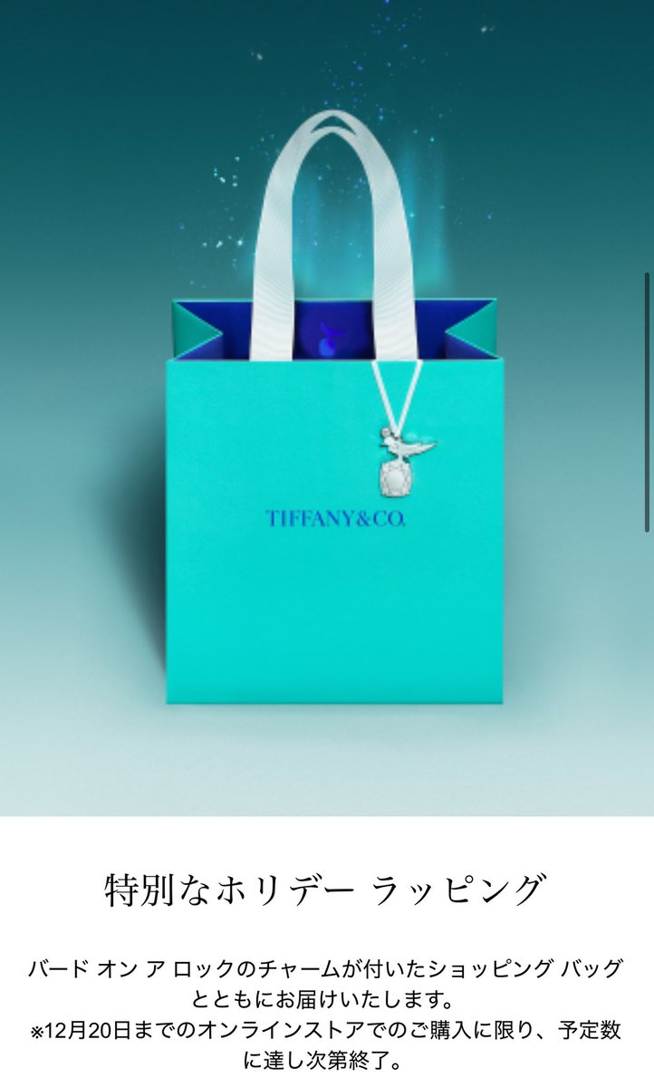 ティファニー ニューヨーク本店限定 ショッパー チャーム 2セット