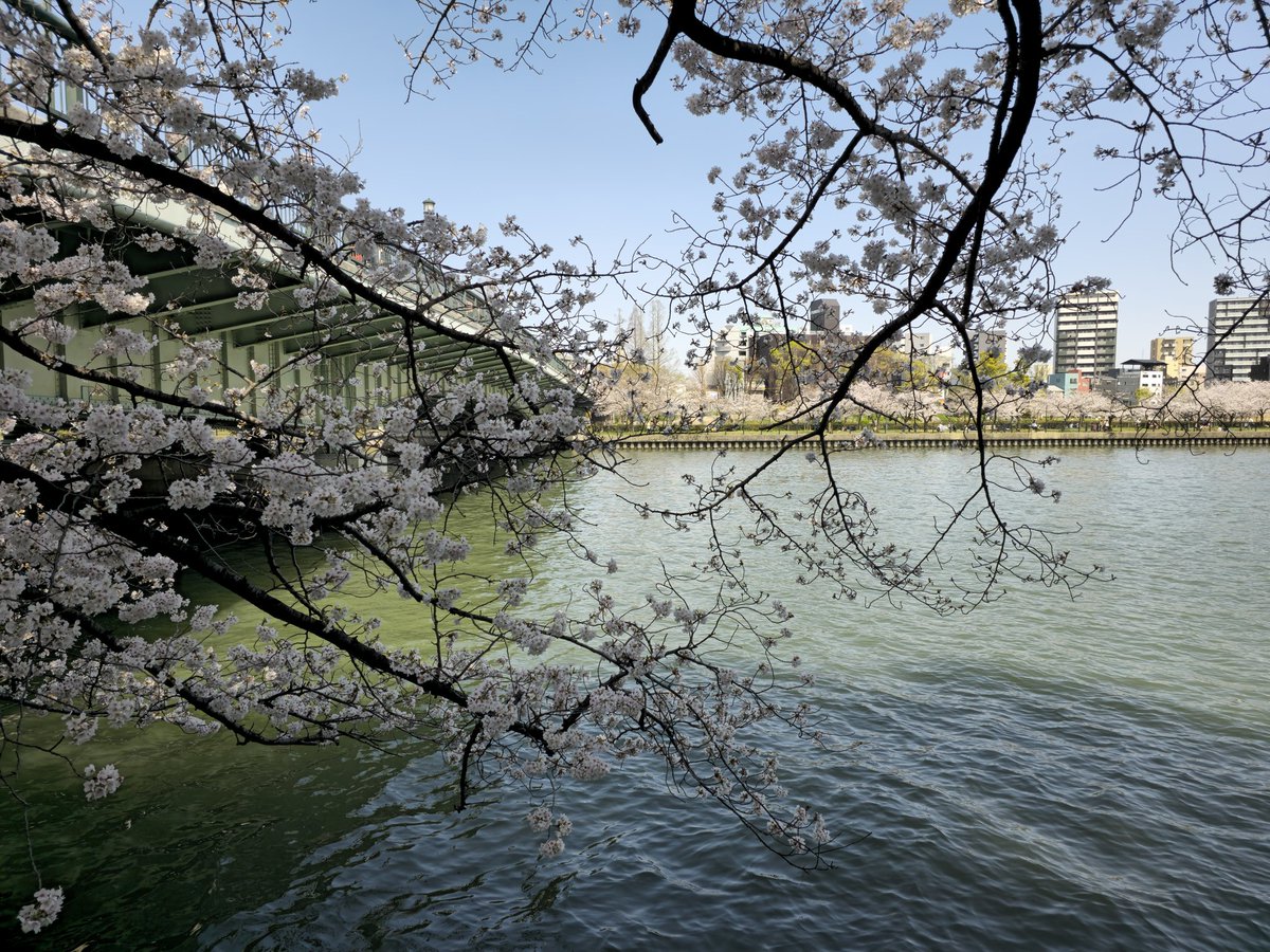 Area along the river in spring