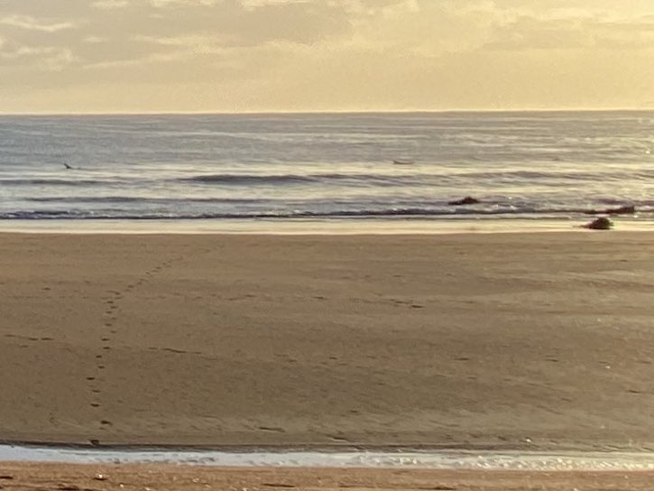 #Advent (2) “Aplaneu les seves rutes.” Lc 3, 4