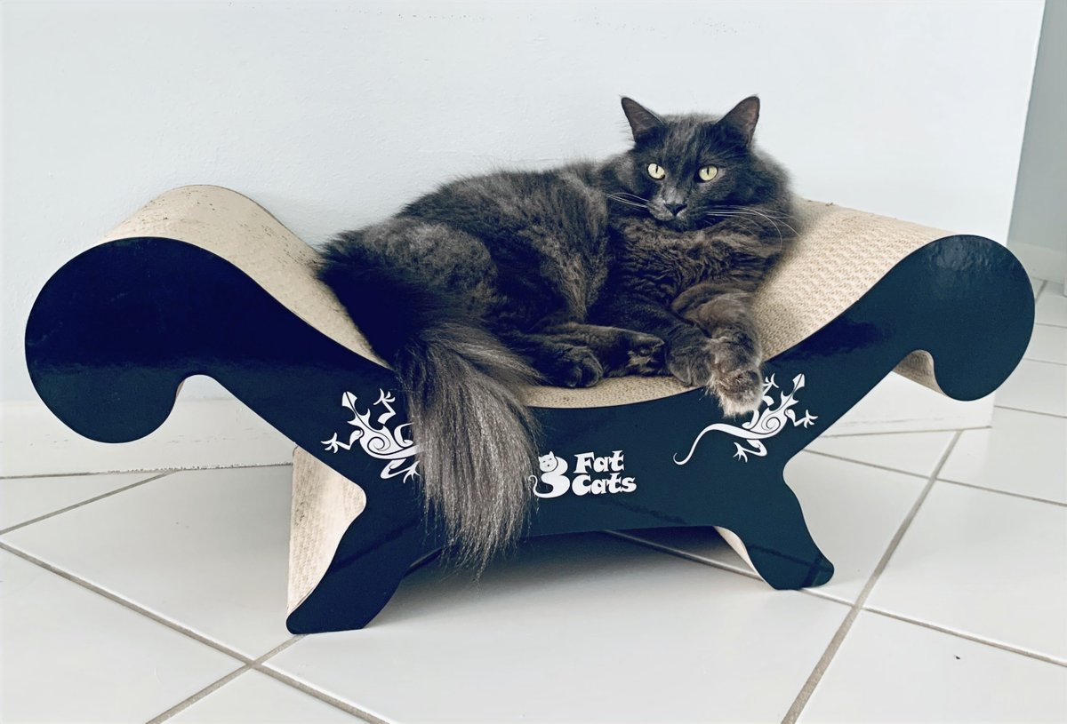3fatcatsuk's tweet image. 🐾 Say goodbye to cat scratch replacements and hello to durable, elegant designs that keep your feline friends entertained! 🎉😸 Don&apos;t miss out on the chance to protect your furniture this Christmas!. Shop now at wix.to/tWomkX2 #HappyCats #DurableToys #ScratchProtection