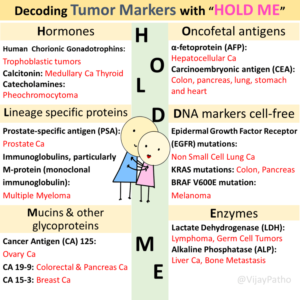 IhabFathiSulima's tweet photo. Tumour Markers.
What are the new ones ⁉️ https://t.co/jjwgJHmtOQ