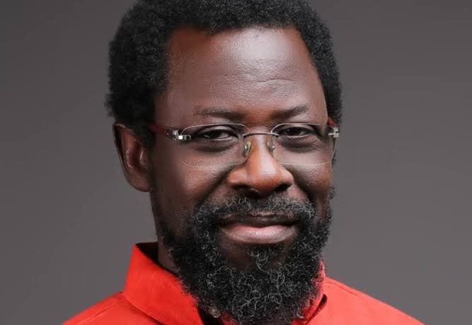 Dele Farotimi is a true activist. He’s one of the few people I can listen to and see truth and courage in his words. No wobbling and dilly-dallying about the truth. The Ronus are angry that I am tweeting about his release because I’m Igbo. But truth must be said #FreeDeleFarotimi