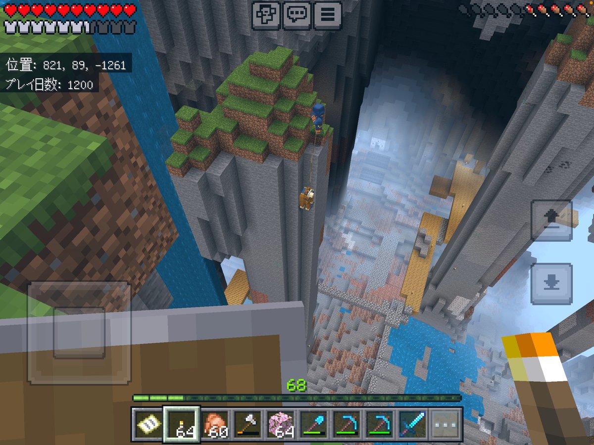 playgame_am's tweet photo. 虐待現場を発見…｜д・´)　!!

#マイクラ https://t.co/1eW4LYVtax