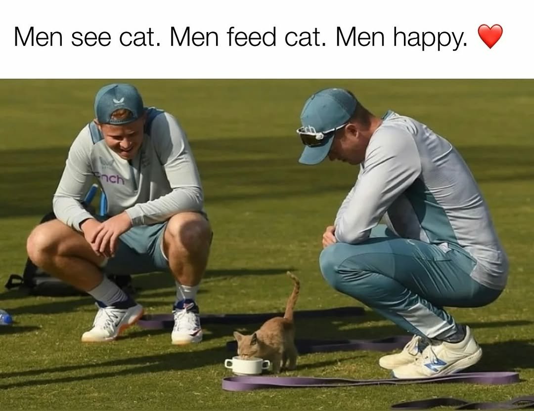 catshealdeprsn's tweet photo. This made my day 🥰 https://t.co/gCiJQNkZ8z