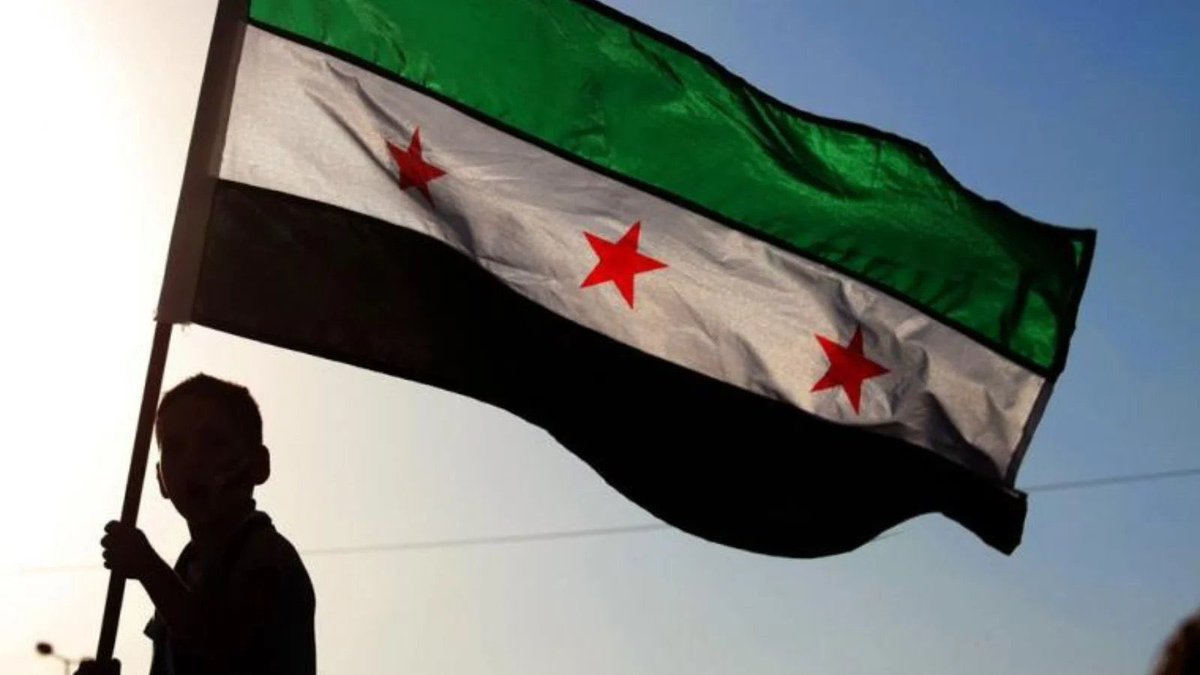 Fella4ItAgain's tweet photo. @RazanSpeaks @xgabrielx36 Thank you for sharing this joyful moment with us. Syria is free at last. https://t.co/eNAQW6ZEW9