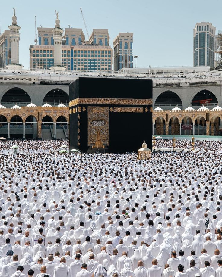 realYamaan1's tweet photo. O Allah, I am trying, so help me.

Good Afternoon 🌄 https://t.co/Ja87dteiK7